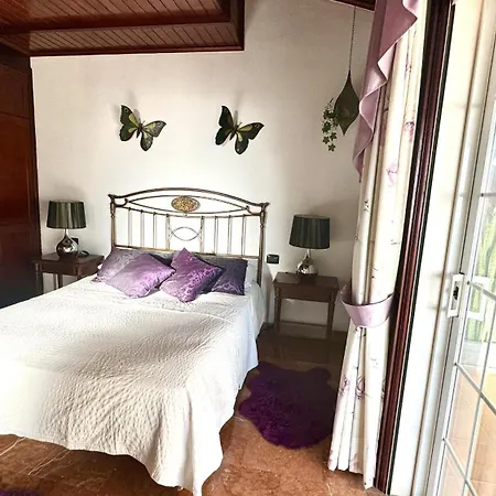 Lujo Y Relax In Adeje By Deihu Experiences